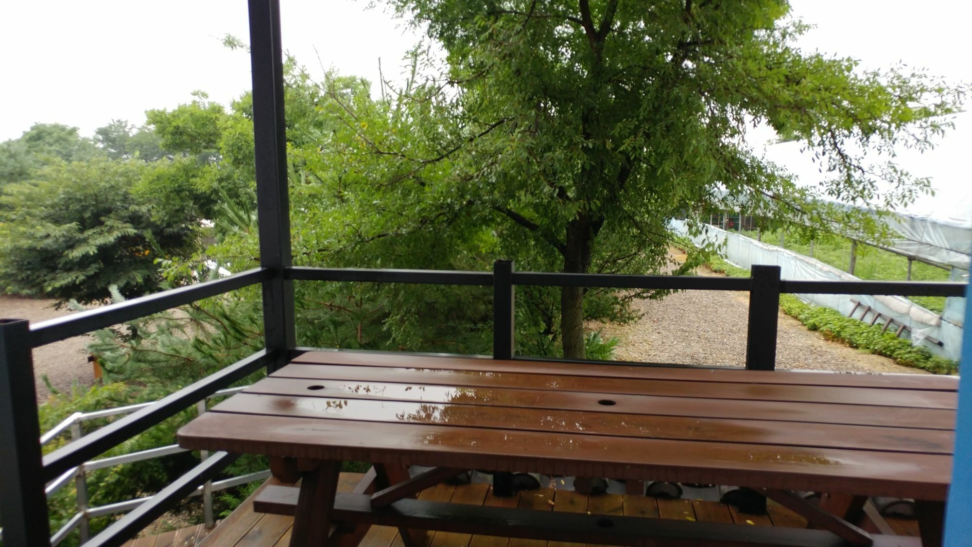 Chowoo Guesthouse คยองจู ภายนอก รูปภาพ